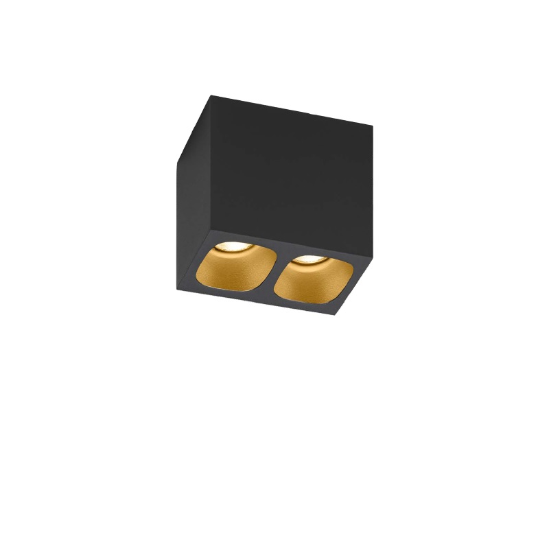 Deckenaufbauleuchte PIRRO 2.0 schwarz/gold
230V / 2x5W 2700K 760Lm 50x94mm H=80mm IP20