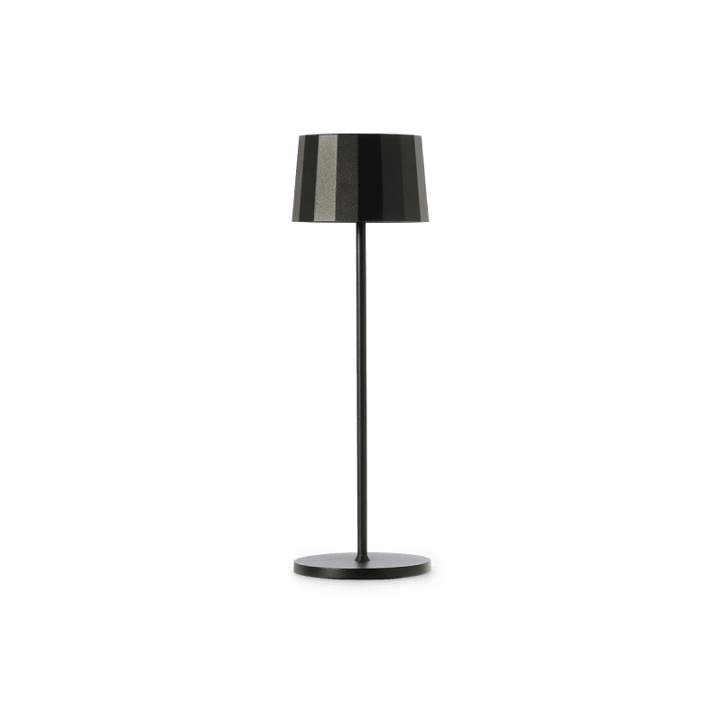 Tischleuchte TG mit Akku 2.2W dunkelgrau
240V/DC 3.7V 3000K 150lm D=110 H=353 / IP54