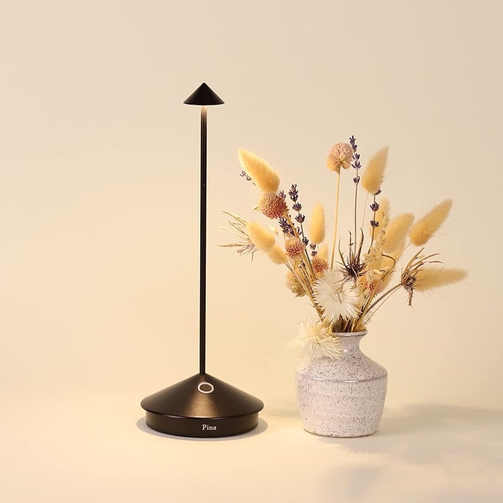 Tischleuchte Pina 2.2W corten
5VDC 1A / 206Lm D=10.5cm H=29cm / IP54